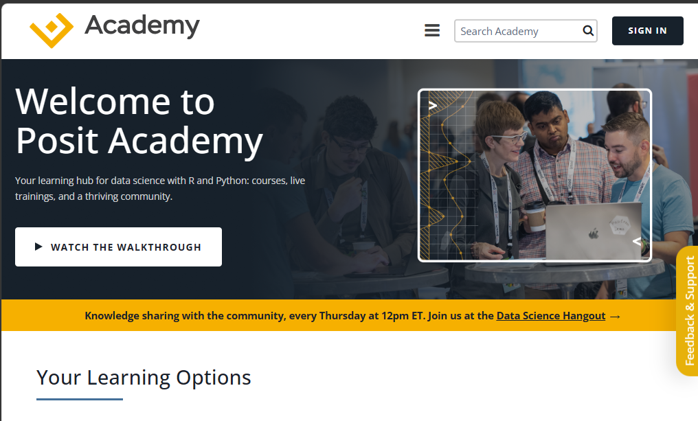 Posit Academy